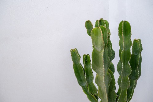 Kastro Villas Mykonos - Nevermind Property Management